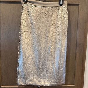 Banana Republic Shimmering Sequin Pencil Skirt